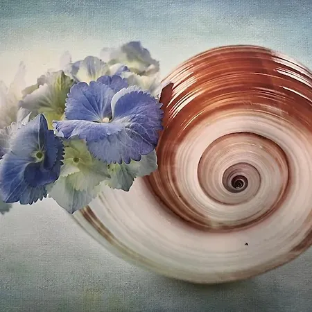 Reginas & Apartments- Blue Flower شقة فيسكاردو